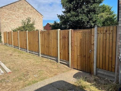 Closeboard fencing in concrete posts and gravel boards with a matching timber side gate, running along a garden boundary