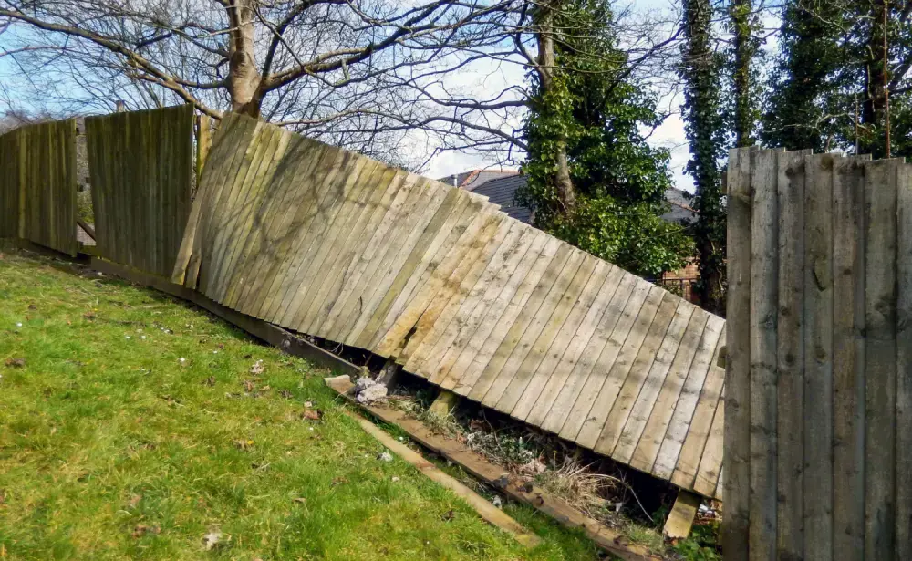 A run of closeboard featheredge fencing blown over by storm damage, leaning off its snapped posts onto the grass