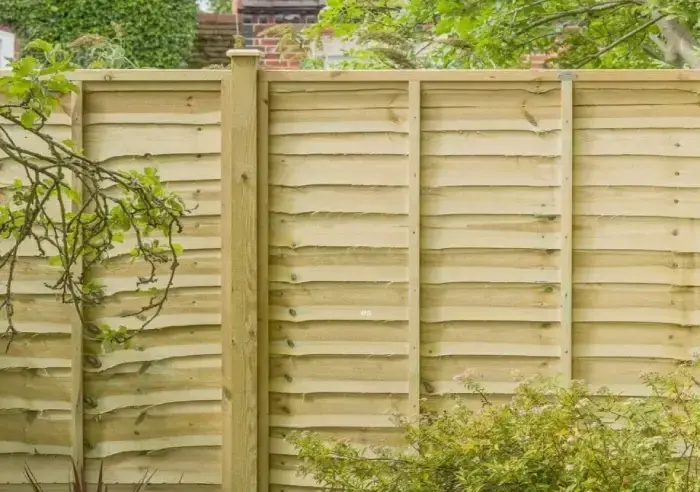 Lap panel fencing in timber posts, seen from a garden border
