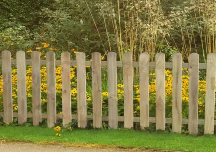 A low round-top picket fence in front of a border of yellow rudbeckia