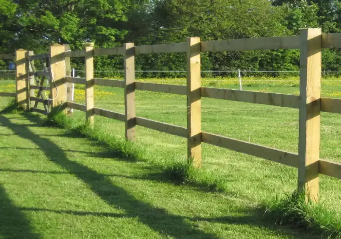 Timber post and rail fencing running along the edge of a paddock
