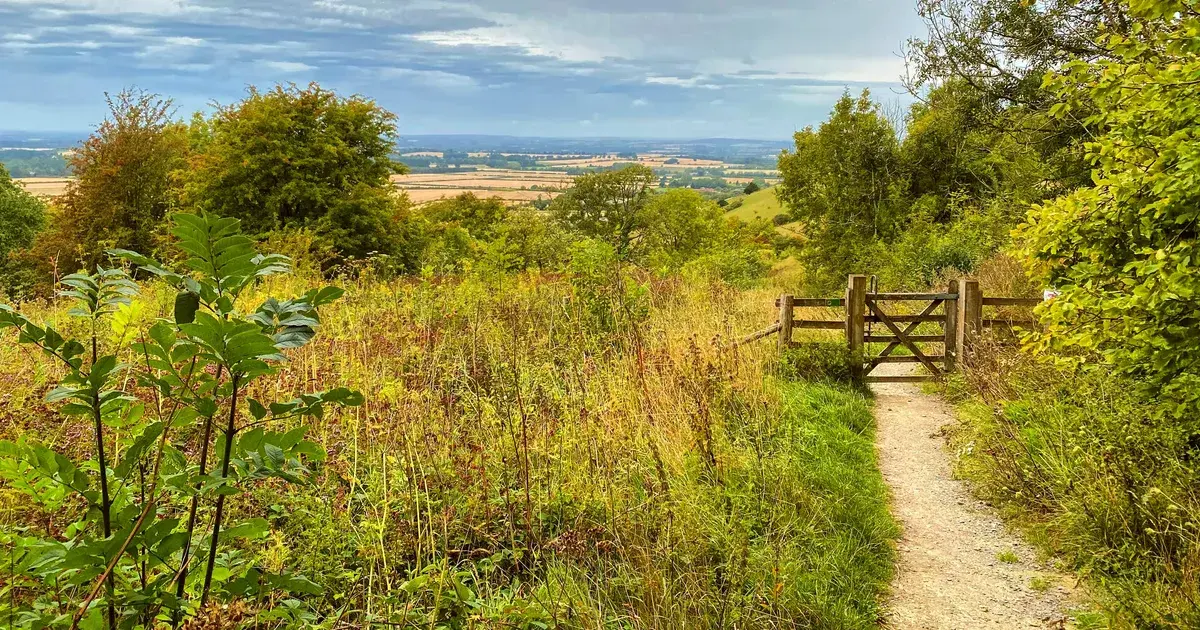 A timber five-bar field gate on a Chiltern hilltop path above Stokenchurch, looking out over the vale